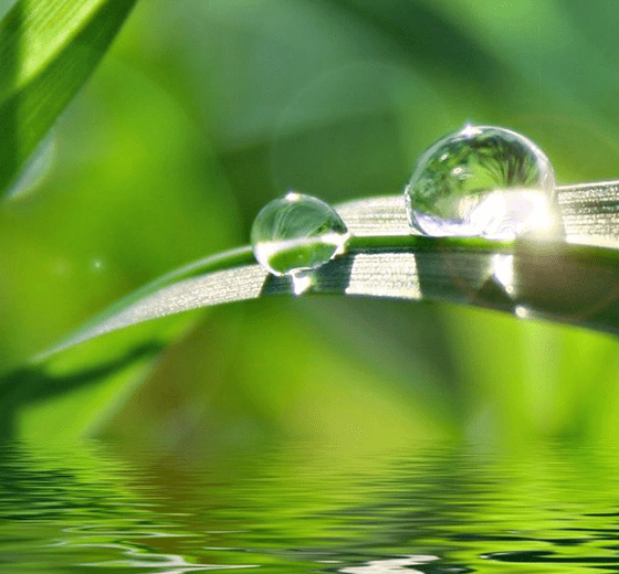 堅(jiān)持可持續(xù)發(fā)展戰(zhàn)略 堅(jiān)持可持續(xù)發(fā)展戰(zhàn)略